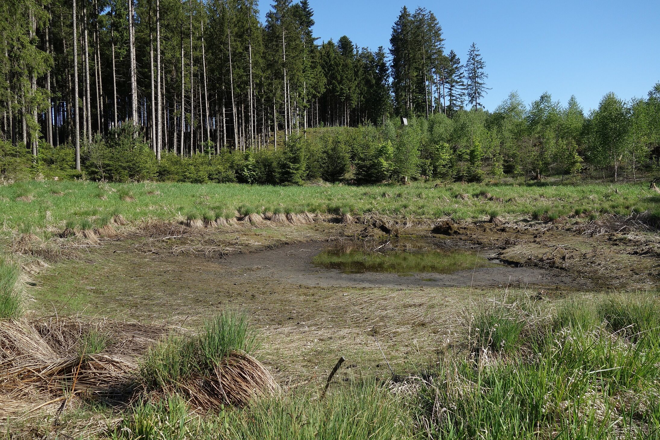 Hitzestress für Gartentiere BUND Naturschutz in Bayern e V