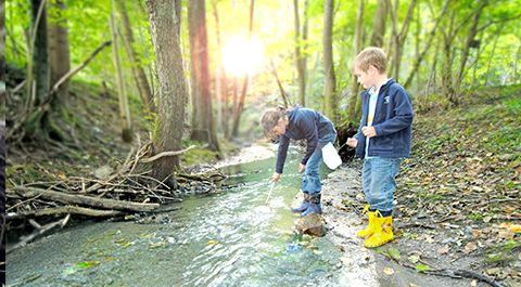 OG Rednitzhembach - BUND Naturschutz in Bayern e.V.