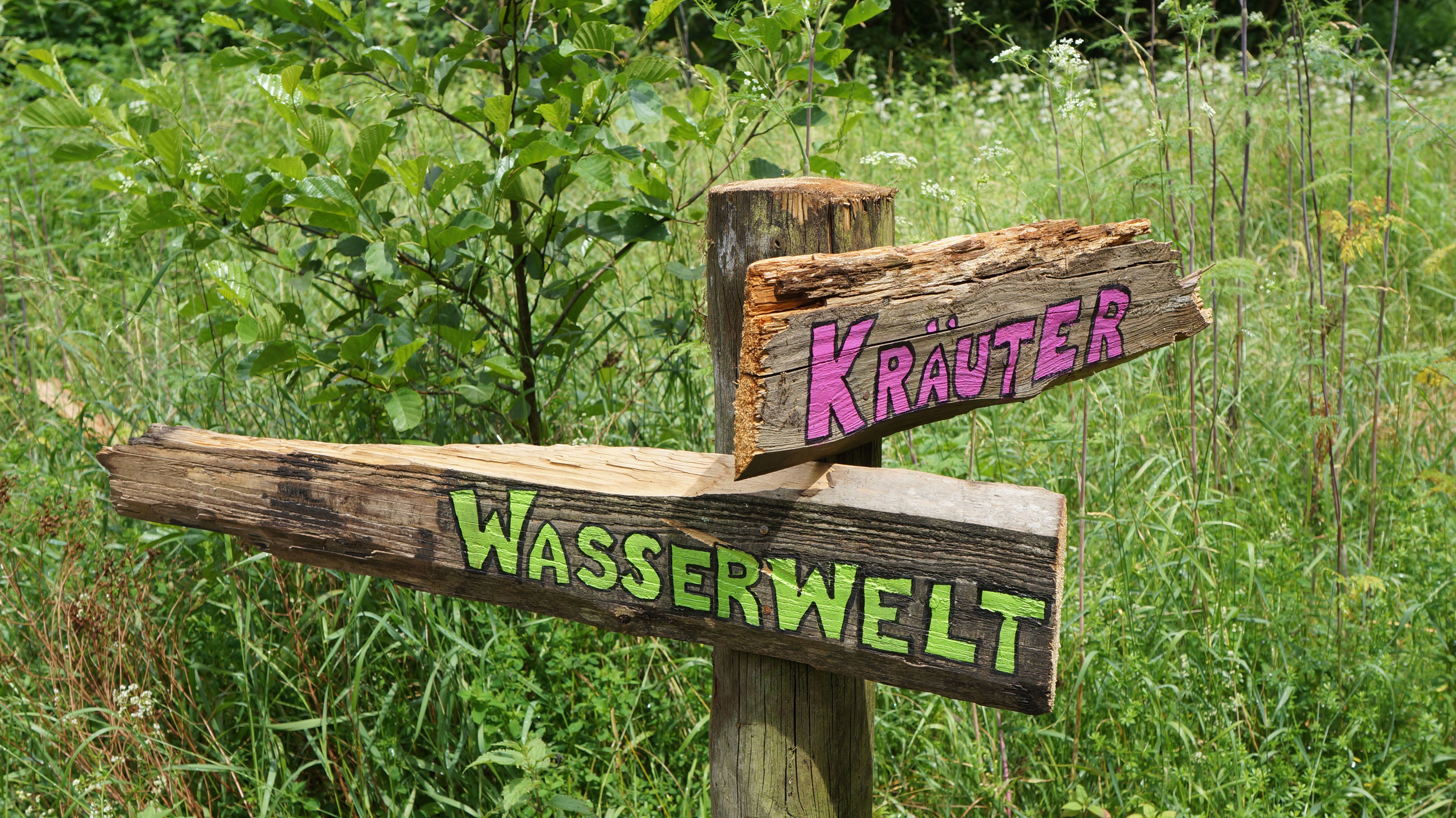 Tag der Artenvielfalt